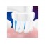 4 Oral-B bērnu birstes galviņas Frozen II ar Elsa un Anna der visām OralB suku galviņām