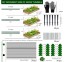 Siltumnīcas stādu audzētava stādiem standarta 2,5 x 5,5 m 8 stīpas dārza dobēm